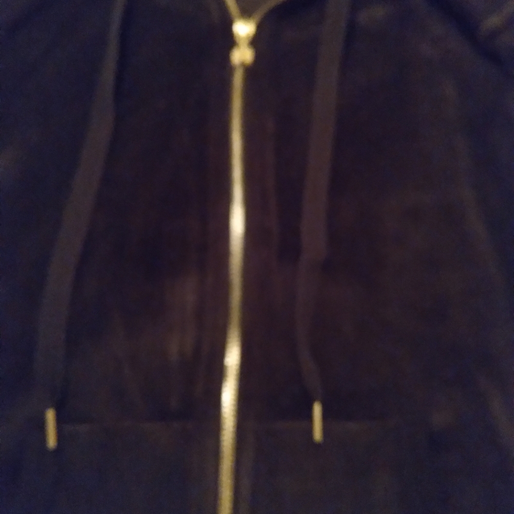 Velour supermodel Victoria sweatshirt. Black sequin wings on back. Worn twice.